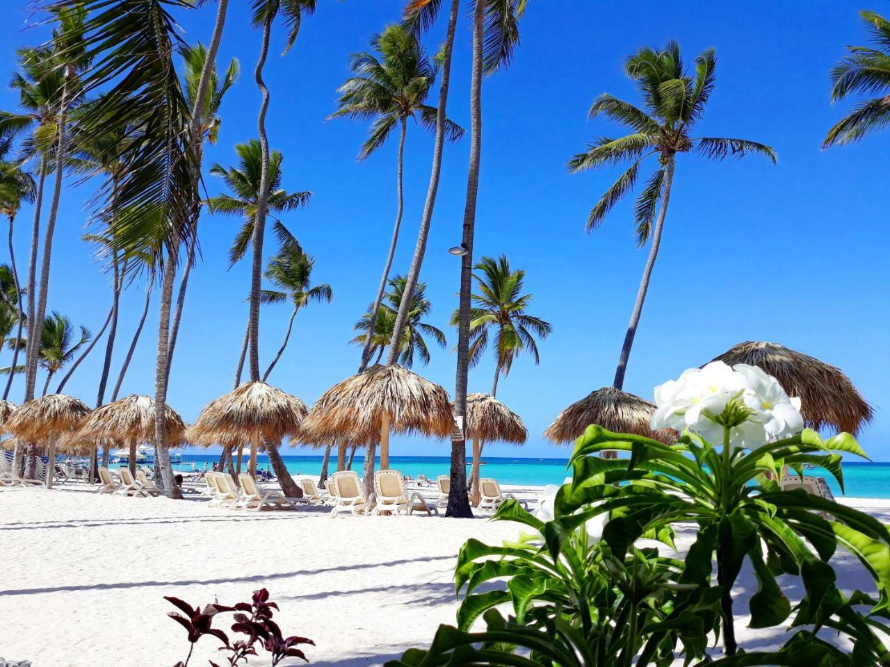 Beach Villas & Apartments Larimar ปุนตากานา ภายนอก รูปภาพ